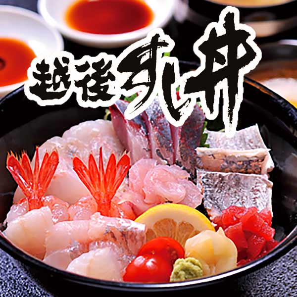 越後すし丼